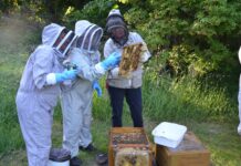 Ny materielcontainer styrker biavlerne i Hammel