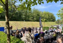 Plejehjemmene i Favrskov høster stor ros fra beboerne