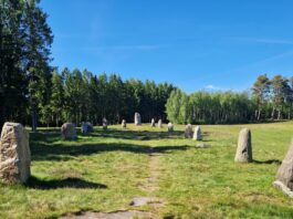Sommer i Favrskov – Høj Stene – Var det en konge der boede her?