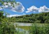 Sommer i Favrskov – Sølund Skov – i daglig tale kendt som Favrskoven